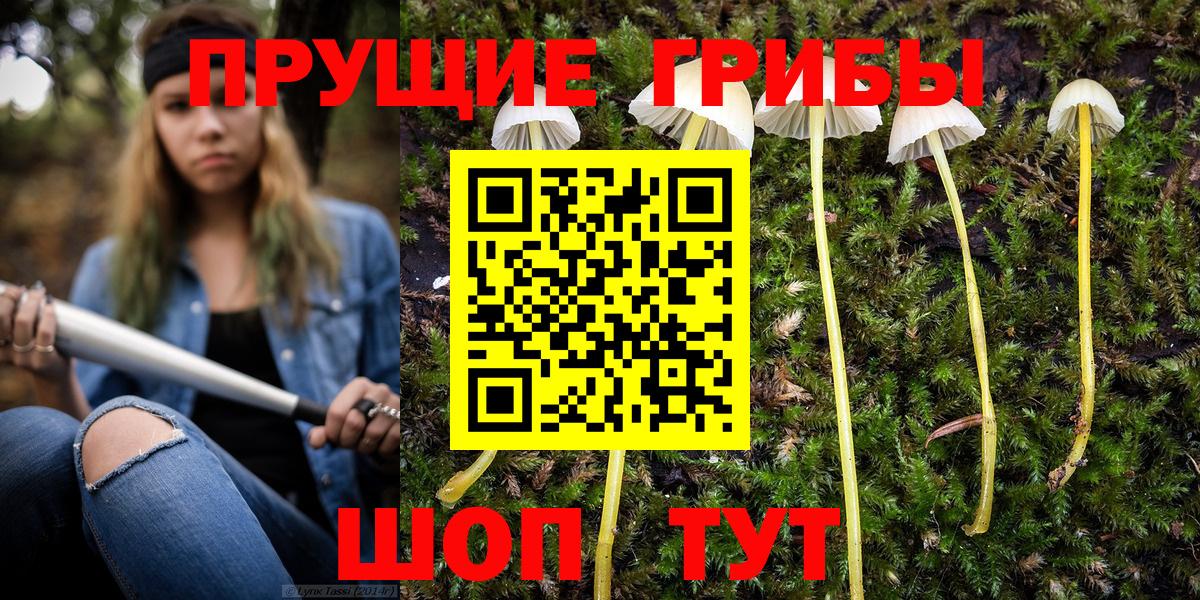 Галлюциногенные грибы прущие грибы  Вход с VPN  Псилоцибиновые грибы Cubensis  Мценск 