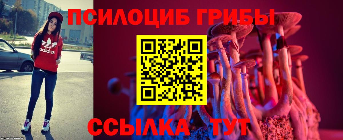 Галлюциногенные грибы MAGIC MUSHROOMS Мценск